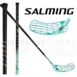 Salming Hawk Powerlite Aero 25 - black raw / mint