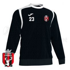 Sweatshirt - Allerød Floorball - Championship V