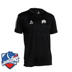 Tr&aelig;nings T-shirt - HG/N&aelig;stved Dragons - Pisa