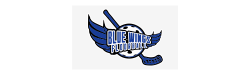 Blue Wings Floorball